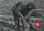 Image of 187th Regimental Combat Team Korea, 1950, second 42 stock footage video 65675022727