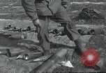Image of 187th Regimental Combat Team Korea, 1950, second 45 stock footage video 65675022727