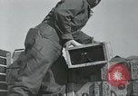 Image of 187th Regimental Combat Team Korea, 1950, second 3 stock footage video 65675022728