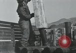 Image of 187th Regimental Combat Team Korea, 1950, second 11 stock footage video 65675022728