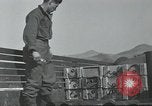 Image of 187th Regimental Combat Team Korea, 1950, second 14 stock footage video 65675022728