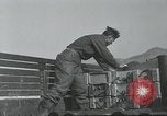 Image of 187th Regimental Combat Team Korea, 1950, second 15 stock footage video 65675022728