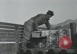Image of 187th Regimental Combat Team Korea, 1950, second 17 stock footage video 65675022728
