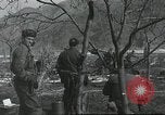 Image of 187th Regimental Combat Team Korea, 1950, second 34 stock footage video 65675022728