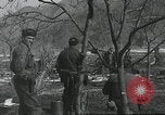 Image of 187th Regimental Combat Team Korea, 1950, second 35 stock footage video 65675022728