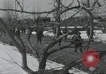 Image of 187th Regimental Combat Team Korea, 1950, second 20 stock footage video 65675022729