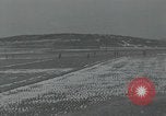 Image of 187th Regimental Combat Team Korea, 1950, second 21 stock footage video 65675022730
