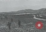 Image of 187th Regimental Combat Team Korea, 1950, second 34 stock footage video 65675022730