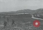 Image of 187th Regimental Combat Team Korea, 1950, second 35 stock footage video 65675022730