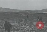 Image of 187th Regimental Combat Team Korea, 1950, second 38 stock footage video 65675022730