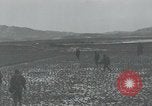 Image of 187th Regimental Combat Team Korea, 1950, second 40 stock footage video 65675022730