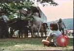 Immagine di Stati Uniti bicentenario Valley Forge Pennsylvania, 1976, secondo 5 filmato di repertorio 65675022743