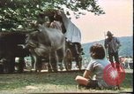 Immagine di Stati Uniti bicentenario Valley Forge Pennsylvania, 1976, secondo 6 filmato di repertorio 65675022743
