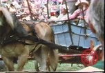 Immagine di Stati Uniti bicentenario Valley Forge Pennsylvania, 1976, secondo 54 filmato di repertorio 65675022743