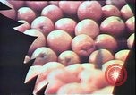 Standbild jährliche Red Bluff Round Up California United States USA, 1975, aus Sekunde 12 historischem Filmmaterial Videoclip 65675022752