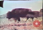 Standbild jährliche Red Bluff Round Up California United States USA, 1975, aus Sekunde 19 historischem Filmmaterial Videoclip 65675022752