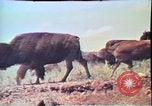 Standbild jährliche Red Bluff Round Up California United States USA, 1975, aus Sekunde 20 historischem Filmmaterial Videoclip 65675022752