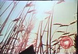 Standbild jährliche Red Bluff Round Up California United States USA, 1975, aus Sekunde 21 historischem Filmmaterial Videoclip 65675022752
