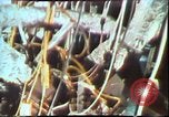 Image of Gas turbine engine United States USA, 1975, second 50 stock footage video 65675022753