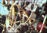Image of Gas turbine engine United States USA, 1975, second 51 stock footage video 65675022753