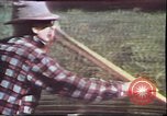 Image of Birch tree Canoe United States USA, 1975, second 12 stock footage video 65675022754