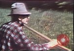 Image of Birch tree Canoe United States USA, 1975, second 14 stock footage video 65675022754
