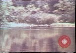 Image of Birch tree Canoe United States USA, 1975, second 22 stock footage video 65675022754