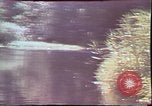 Image of Birch tree Canoe United States USA, 1975, second 24 stock footage video 65675022754