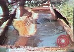 Image of Birch tree Canoe United States USA, 1975, second 28 stock footage video 65675022754