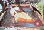 Image of Birch tree Canoe United States USA, 1975, second 29 stock footage video 65675022754