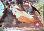 Image of Birch tree Canoe United States USA, 1975, second 30 stock footage video 65675022754