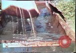 Image of Birch tree Canoe United States USA, 1975, second 32 stock footage video 65675022754