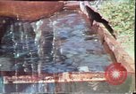 Image of Birch tree Canoe United States USA, 1975, second 33 stock footage video 65675022754