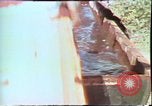 Image of Birch tree Canoe United States USA, 1975, second 34 stock footage video 65675022754