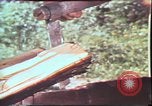 Image of Birch tree Canoe United States USA, 1975, second 35 stock footage video 65675022754