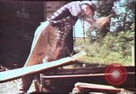 Image of Birch tree Canoe United States USA, 1975, second 36 stock footage video 65675022754