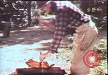 Image of Birch tree Canoe United States USA, 1975, second 37 stock footage video 65675022754