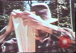Image of Birch tree Canoe United States USA, 1975, second 39 stock footage video 65675022754