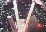 Image of Birch tree Canoe United States USA, 1975, second 40 stock footage video 65675022754