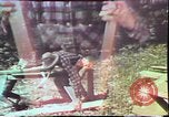 Image of Birch tree Canoe United States USA, 1975, second 41 stock footage video 65675022754