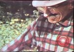 Image of Birch tree Canoe United States USA, 1975, second 44 stock footage video 65675022754