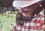 Image of Birch tree Canoe United States USA, 1975, second 48 stock footage video 65675022754