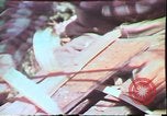 Image of Birch tree Canoe United States USA, 1975, second 49 stock footage video 65675022754