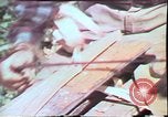 Image of Birch tree Canoe United States USA, 1975, second 50 stock footage video 65675022754