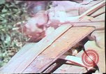 Image of Birch tree Canoe United States USA, 1975, second 51 stock footage video 65675022754