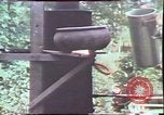 Image of Birch tree Canoe United States USA, 1975, second 53 stock footage video 65675022754