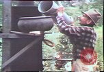 Image of Birch tree Canoe United States USA, 1975, second 55 stock footage video 65675022754