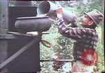 Image of Birch tree Canoe United States USA, 1975, second 56 stock footage video 65675022754