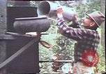 Image of Birch tree Canoe United States USA, 1975, second 57 stock footage video 65675022754