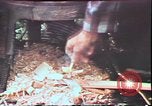 Image of Birch tree Canoe United States USA, 1975, second 59 stock footage video 65675022754